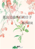 張公公退休後的日子 晉江小說封面